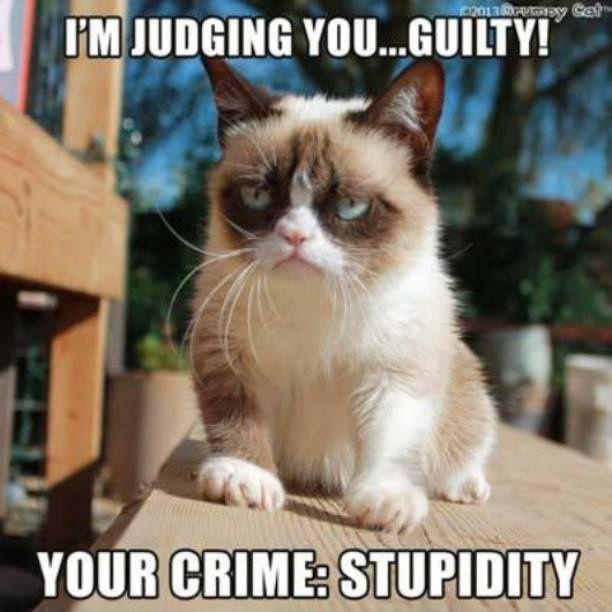 I'm judging you guilty. Your crime: stupidity Picture Quote #1