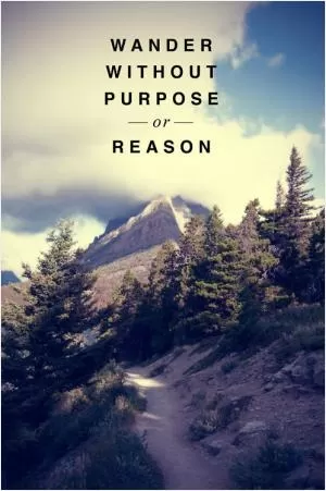 Wander without purpose or reason Picture Quote #1