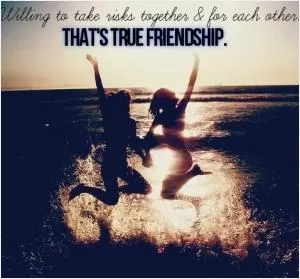 Willing to take risks together and for each other. That's true friendship Picture Quote #1