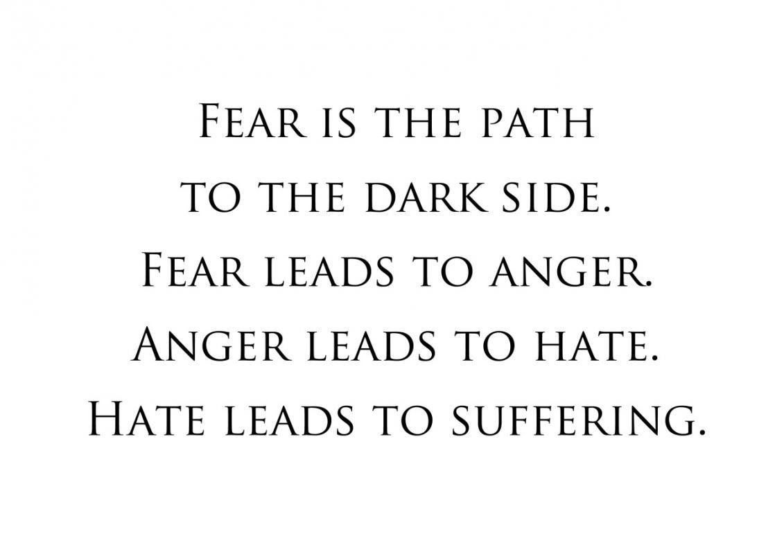 Fear is the path to the dark side. Fear leads to anger. Anger leads to hate. Hate leads  to suffering Picture Quote #3