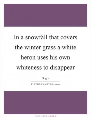 In a snowfall that covers the winter grass a white heron uses his own whiteness to disappear Picture Quote #1