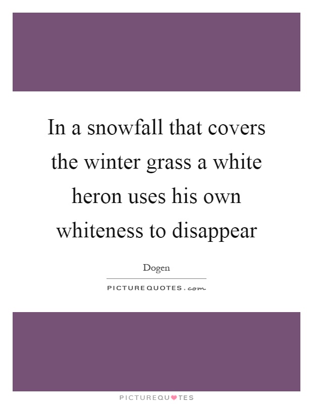 In a snowfall that covers the winter grass a white heron uses his own whiteness to disappear Picture Quote #1