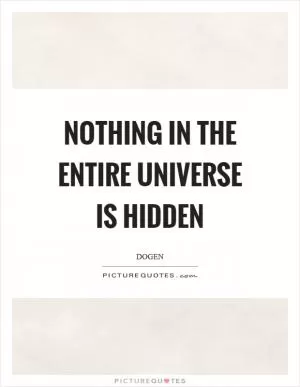 Nothing in the entire universe is hidden Picture Quote #1