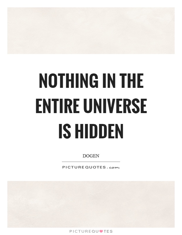 Nothing in the entire universe is hidden Picture Quote #1