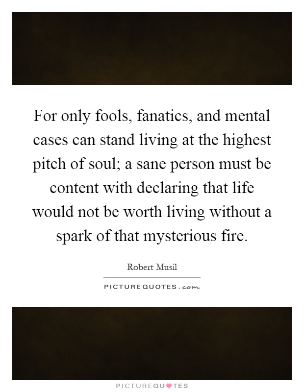 For only fools, fanatics, and mental cases can stand living at the highest pitch of soul; a sane person must be content with declaring that life would not be worth living without a spark of that mysterious fire Picture Quote #1