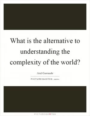 What is the alternative to understanding the complexity of the world? Picture Quote #1