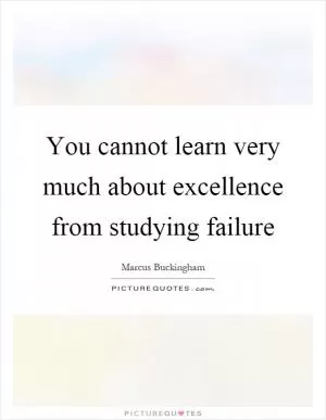 You cannot learn very much about excellence from studying failure Picture Quote #1