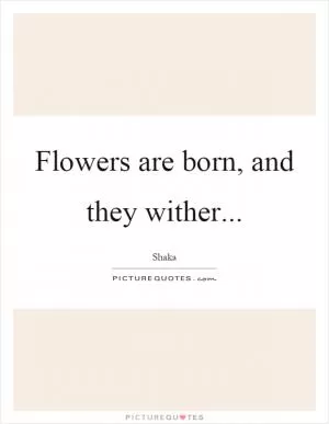 Flowers are born, and they wither Picture Quote #1