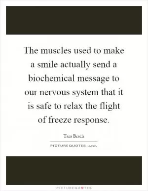 The muscles used to make a smile actually send a biochemical message to our nervous system that it is safe to relax the flight of freeze response Picture Quote #1
