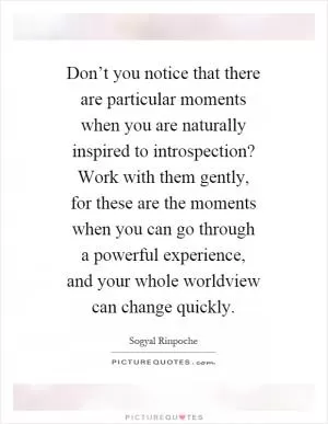 Don’t you notice that there are particular moments when you are naturally inspired to introspection? Work with them gently, for these are the moments when you can go through a powerful experience, and your whole worldview can change quickly Picture Quote #1