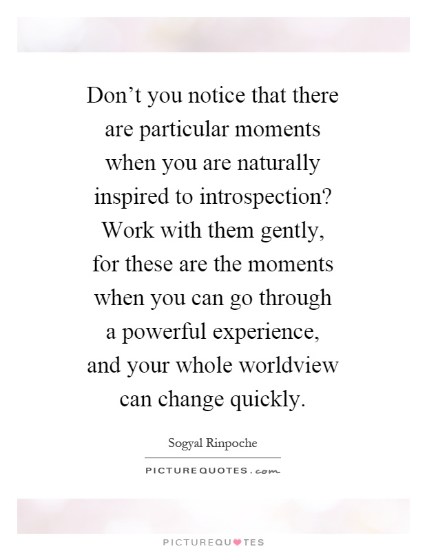 Don't you notice that there are particular moments when you are naturally inspired to introspection? Work with them gently, for these are the moments when you can go through a powerful experience, and your whole worldview can change quickly Picture Quote #1