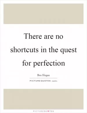 There are no shortcuts in the quest for perfection Picture Quote #1