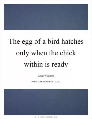 The egg of a bird hatches only when the chick within is ready Picture Quote #1