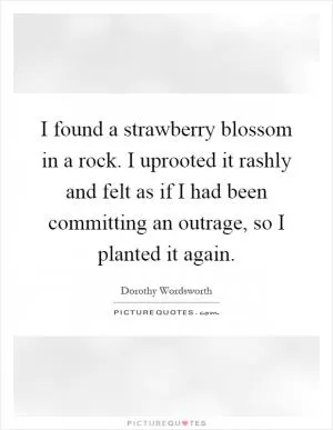 I found a strawberry blossom in a rock. I uprooted it rashly and felt as if I had been committing an outrage, so I planted it again Picture Quote #1