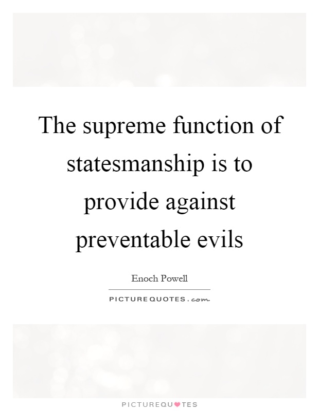 The supreme function of statesmanship is to provide against preventable evils Picture Quote #1