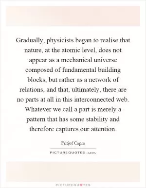 Gradually, physicists began to realise that nature, at the atomic level, does not appear as a mechanical universe composed of fundamental building blocks, but rather as a network of relations, and that, ultimately, there are no parts at all in this interconnected web. Whatever we call a part is merely a pattern that has some stability and therefore captures our attention Picture Quote #1