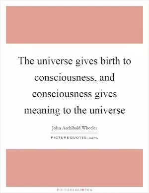 The universe gives birth to consciousness, and consciousness gives meaning to the universe Picture Quote #1