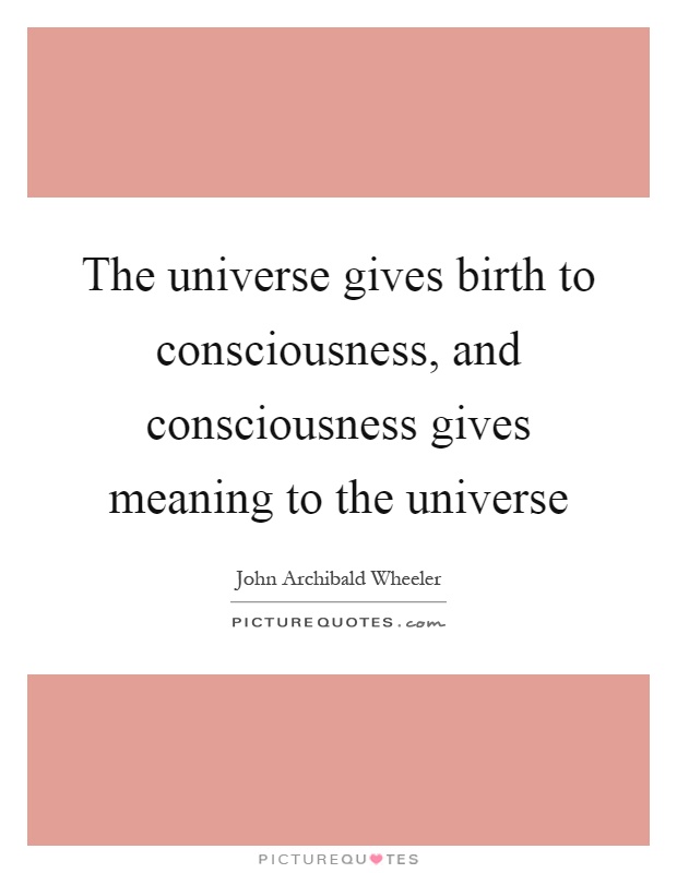 The universe gives birth to consciousness, and consciousness gives meaning to the universe Picture Quote #1