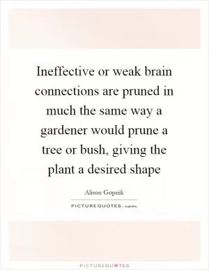 Ineffective or weak brain connections are pruned in much the same way a gardener would prune a tree or bush, giving the plant a desired shape Picture Quote #1