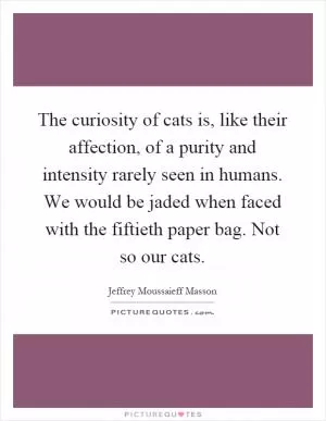 The curiosity of cats is, like their affection, of a purity and intensity rarely seen in humans. We would be jaded when faced with the fiftieth paper bag. Not so our cats Picture Quote #1