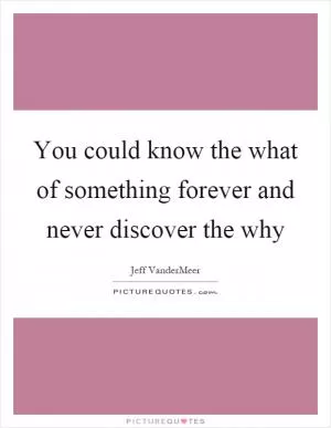 You could know the what of something forever and never discover the why Picture Quote #1