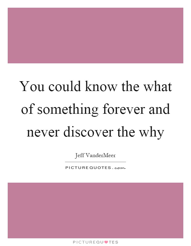 You could know the what of something forever and never discover the why Picture Quote #1