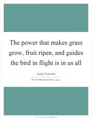 The power that makes grass grow, fruit ripen, and guides the bird in flight is in us all Picture Quote #1