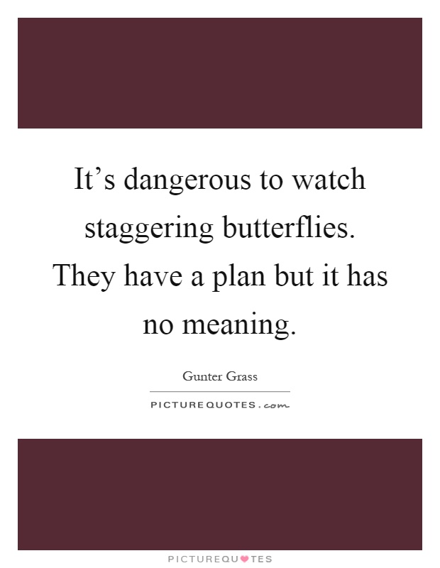 It's dangerous to watch staggering butterflies. They have a plan but it has no meaning Picture Quote #1