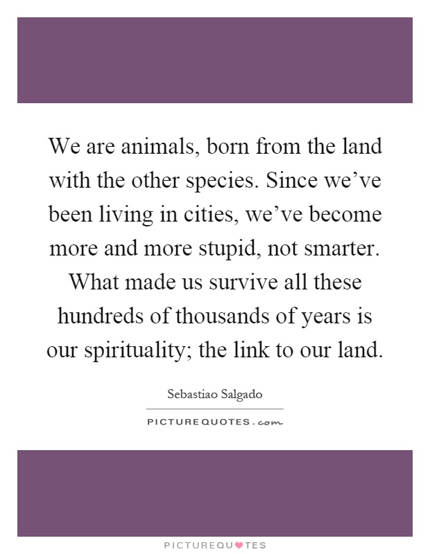 We are animals, born from the land with the other species. Since we've been living in cities, we've become more and more stupid, not smarter. What made us survive all these hundreds of thousands of years is our spirituality; the link to our land Picture Quote #1