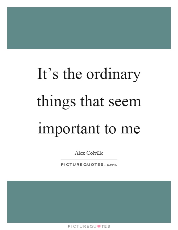 It's the ordinary things that seem important to me Picture Quote #1