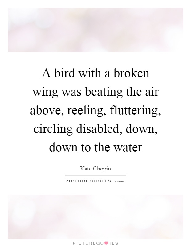 A bird with a broken wing was beating the air above, reeling, fluttering, circling disabled, down, down to the water Picture Quote #1