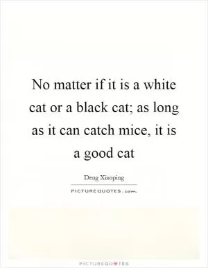 No matter if it is a white cat or a black cat; as long as it can catch mice, it is a good cat Picture Quote #1