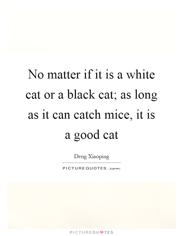 No matter if it is a white cat or a black cat; as long as it can catch mice, it is a good cat Picture Quote #1