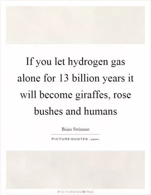 If you let hydrogen gas alone for 13 billion years it will become giraffes, rose bushes and humans Picture Quote #1