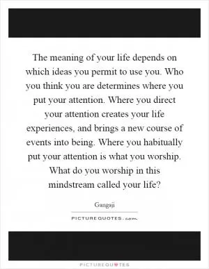 The meaning of your life depends on which ideas you permit to use you. Who you think you are determines where you put your attention. Where you direct your attention creates your life experiences, and brings a new course of events into being. Where you habitually put your attention is what you worship. What do you worship in this mindstream called your life? Picture Quote #1