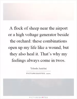 A flock of sheep near the airport or a high voltage generator beside the orchard: these combinations open up my life like a wound, but they also heal it. That’s why my feelings always come in twos Picture Quote #1