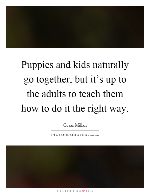 Puppies and kids naturally go together, but it's up to the adults to teach them how to do it the right way Picture Quote #1