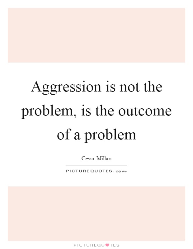 Aggression is not the problem, is the outcome of a problem Picture Quote #1