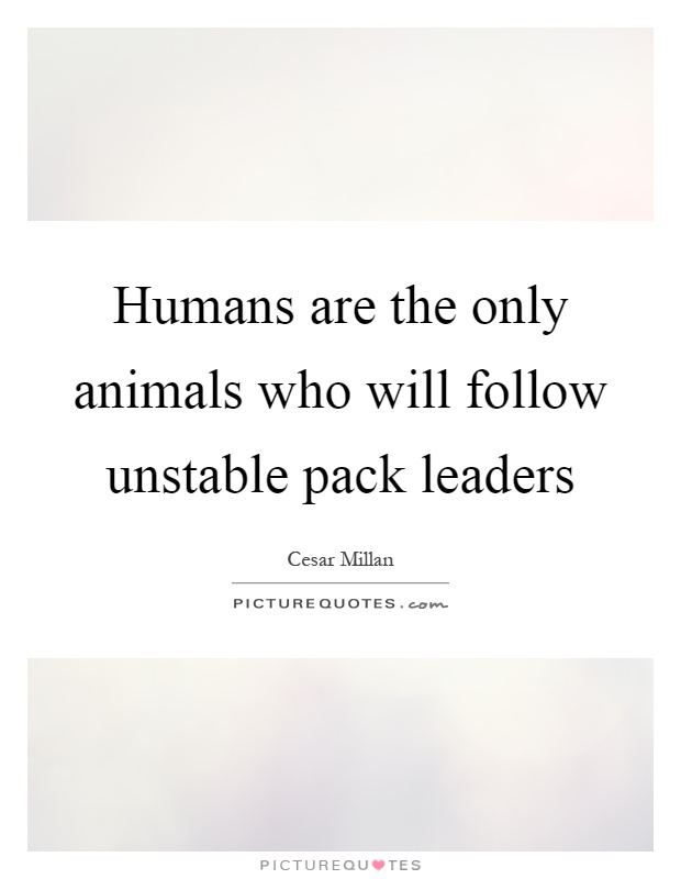 Humans are the only animals who will follow unstable pack leaders Picture Quote #1