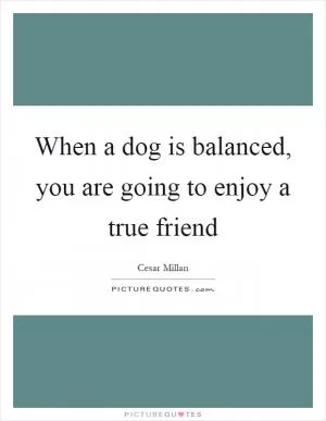 When a dog is balanced, you are going to enjoy a true friend Picture Quote #1
