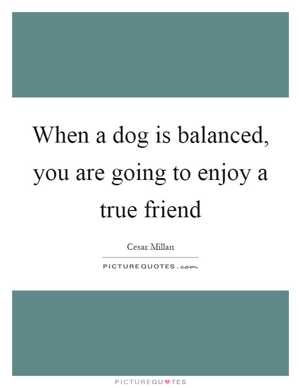 When a dog is balanced, you are going to enjoy a true friend Picture Quote #1