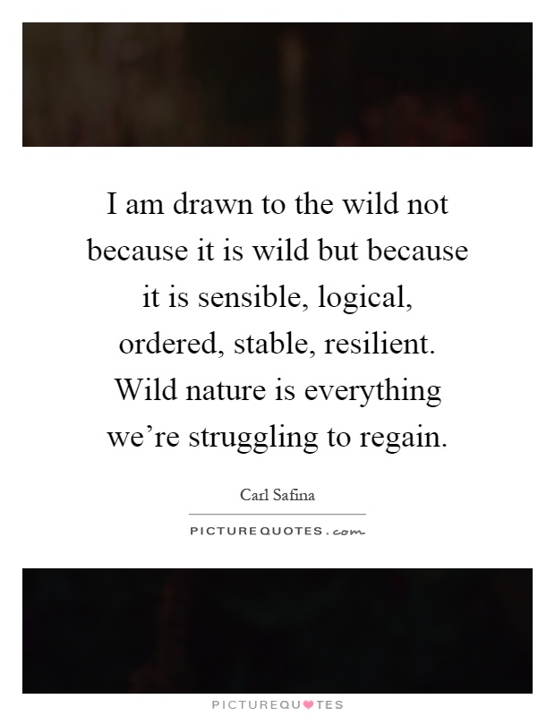 I am drawn to the wild not because it is wild but because it is sensible, logical, ordered, stable, resilient. Wild nature is everything we're struggling to regain Picture Quote #1