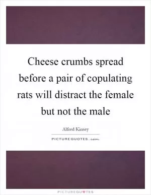 Cheese crumbs spread before a pair of copulating rats will distract the female but not the male Picture Quote #1
