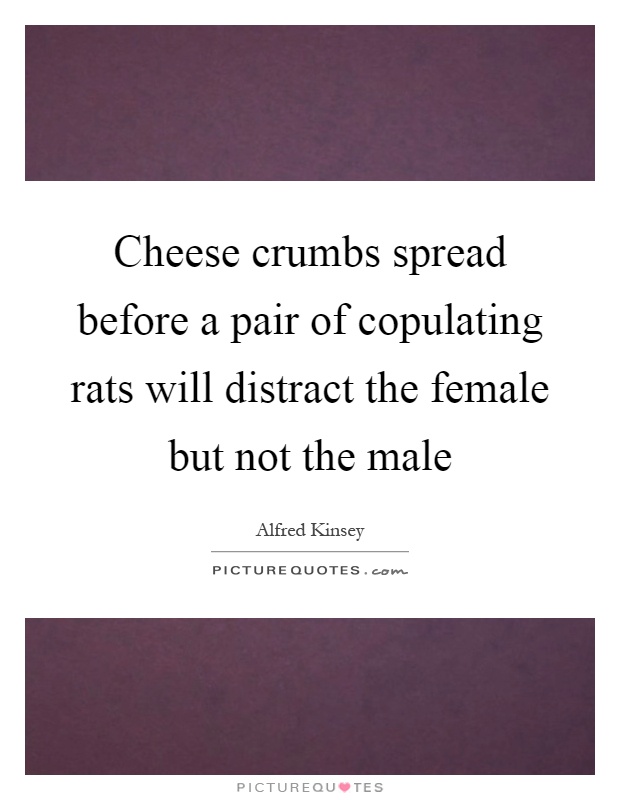 Cheese crumbs spread before a pair of copulating rats will distract the female but not the male Picture Quote #1