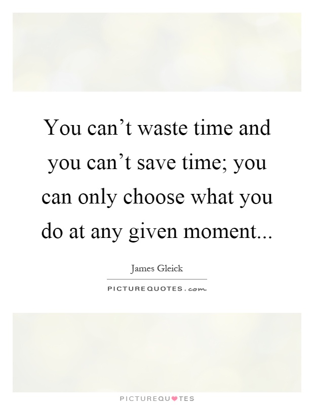 You can't waste time and you can't save time; you can only choose what you do at any given moment Picture Quote #1