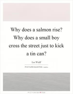 Why does a salmon rise? Why does a small boy cross the street just to kick a tin can? Picture Quote #1
