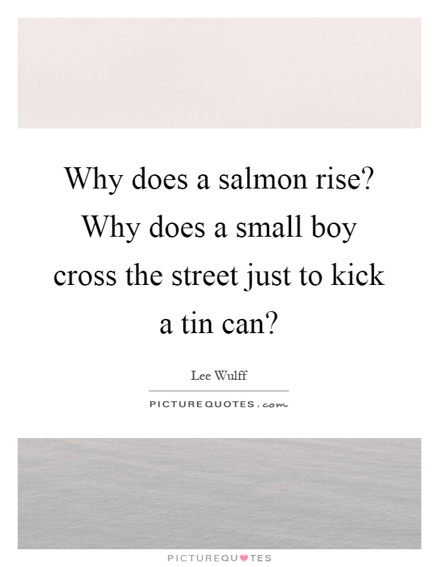 Why does a salmon rise? Why does a small boy cross the street just to kick a tin can? Picture Quote #1