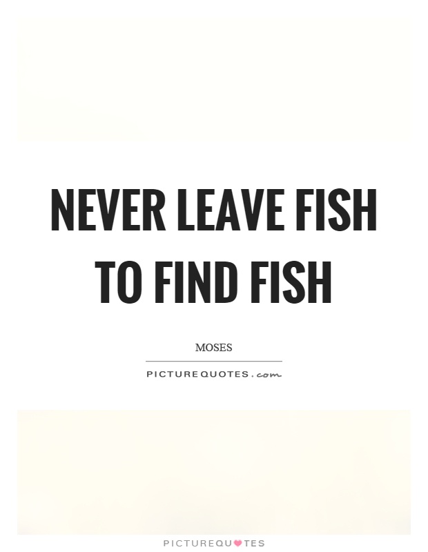 Never leave fish to find fish Picture Quote #1