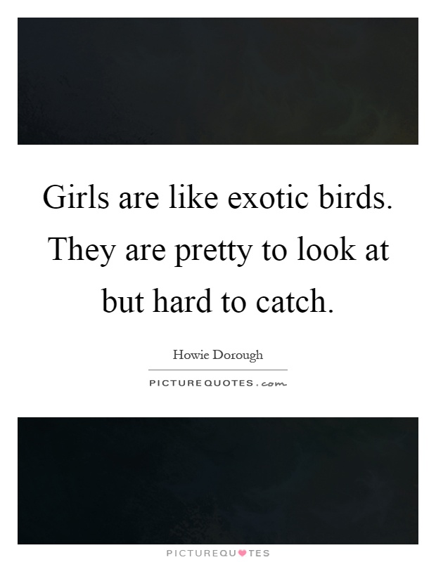Girls are like exotic birds. They are pretty to look at but hard to catch Picture Quote #1