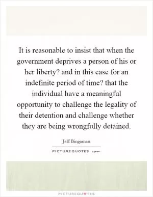 It is reasonable to insist that when the government deprives a person of his or her liberty? and in this case for an indefinite period of time? that the individual have a meaningful opportunity to challenge the legality of their detention and challenge whether they are being wrongfully detained Picture Quote #1